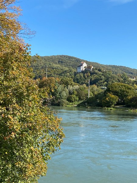 IMG_2795.jpg - Schloss Wildegg