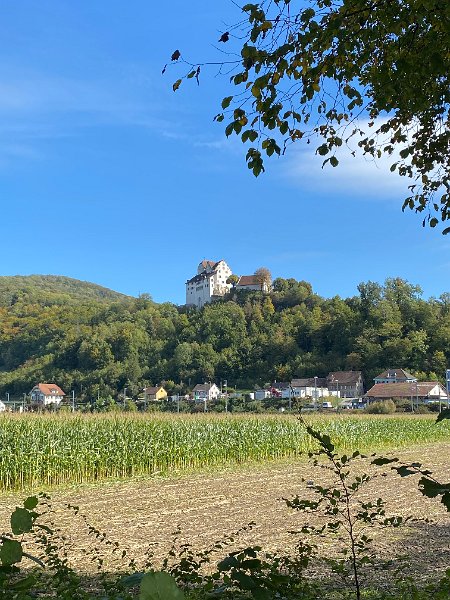 IMG_2799.jpg - Wildegg