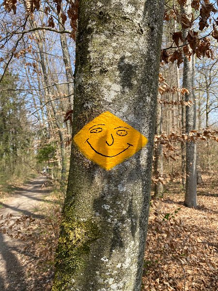 IMG_3807.jpg - Gute Laune