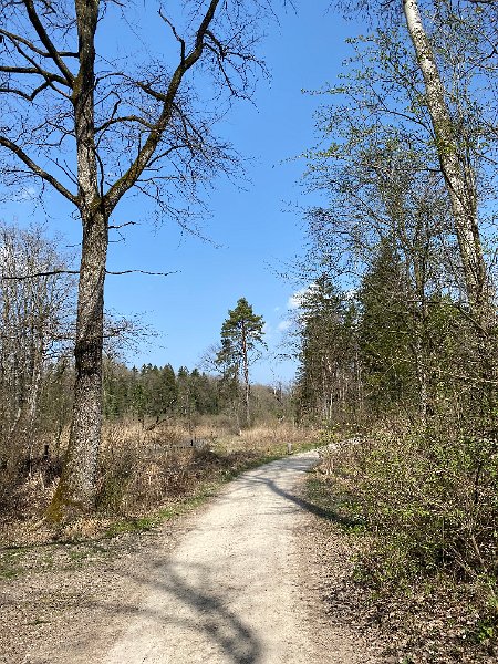 IMG_3814.jpg - Blaugiesse