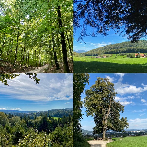70DA5D99-EE14-4809-AB7D-BCBA50AD51DB.jpg - Aaburg - Aarau (5.09.20) ; 18 km ; 5h