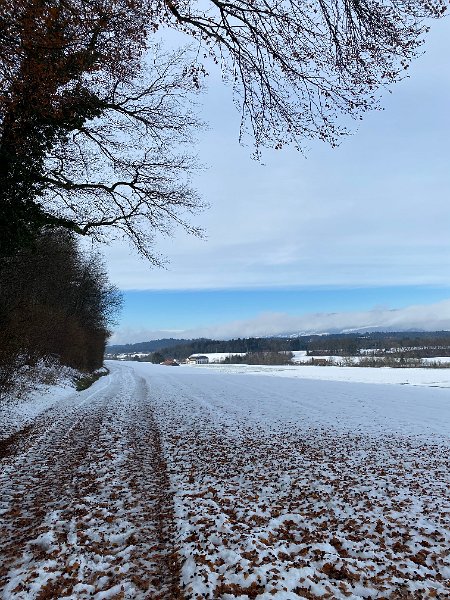 IMG_3342.jpg - Am Schoneggwald