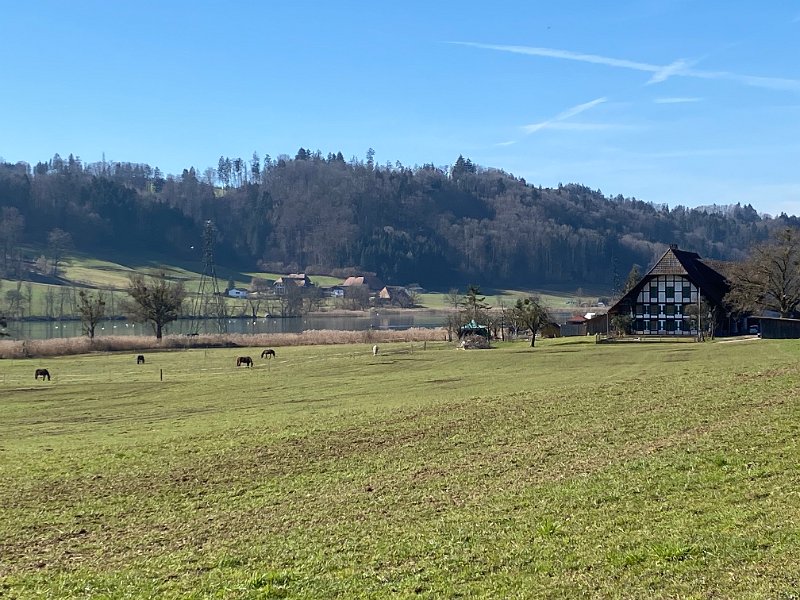 IMG_3615.jpg - Hofen / Rainacher