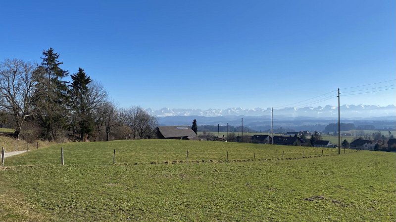 IMG_3627 (Bearbeitet).jpg - Innerberg: Bergweidweg