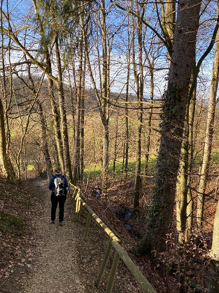 IMG_3640.jpg - Hinunter zur Aare