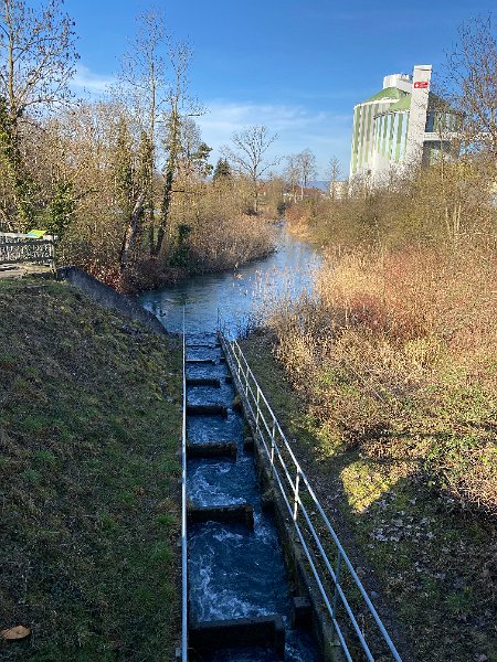 IMG_3644.jpg - Fischtreppe, Zuckerfabrik