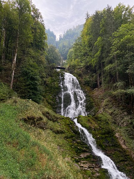IMG_2543.jpg - Giessbachf�lle