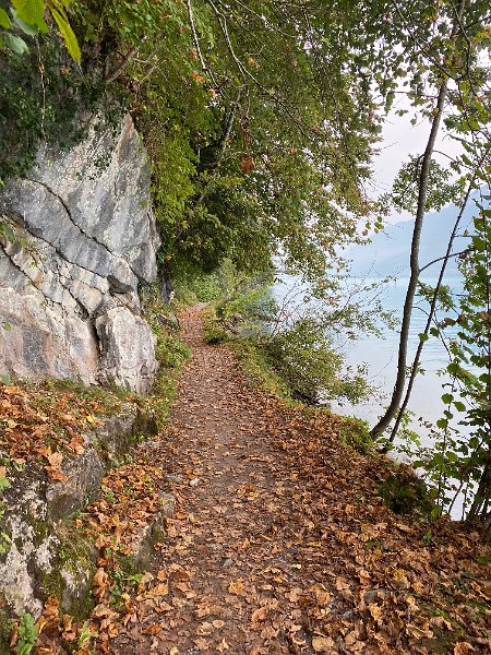 IMG_2553.jpg - Uferweg