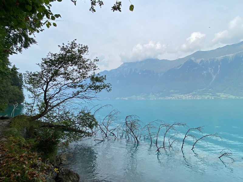 IMG_2556.jpg - Brienzersee