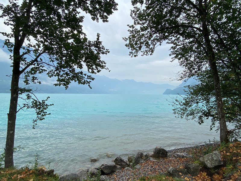 IMG_2599.jpg - B�nigen am See (14 km; 4h15)