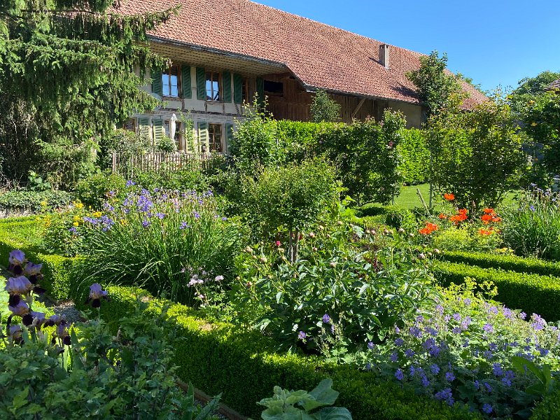 IMG_4184.jpg - Bauerngarten