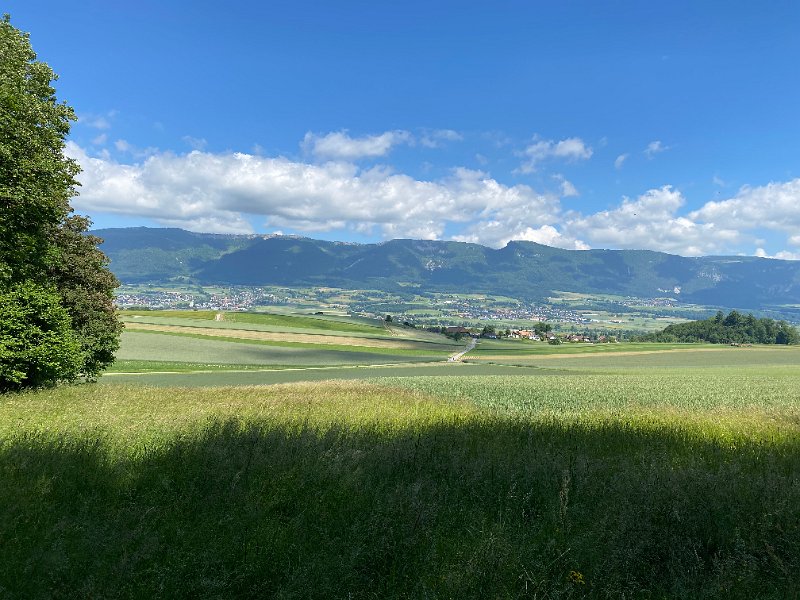 IMG_4194.jpg - Leuzingen & Hasenmatt