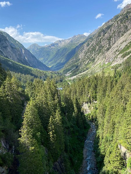 IMG_1834.jpg - Haslital