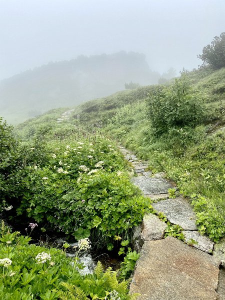 IMG_1970.jpg - im Nebel am R�terichsbodensee