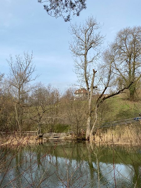 IMG_3465.jpg - Elfenau