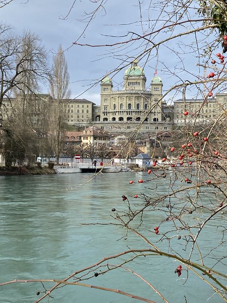 IMG_3475.jpg - Bundeshaus