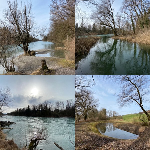 collage.jpg - M�nsingen - Bern (6.02.21) ;  17 km