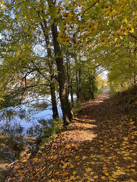 IMG_2925.jpg - Uferweg bei Rothrist