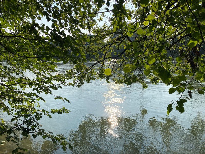 IMG_4458.JPEG - Morgensonne