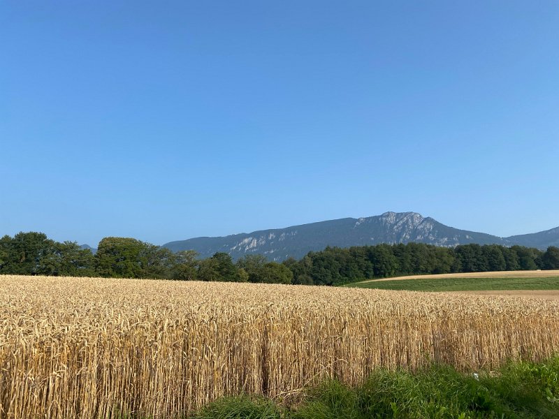 IMG_4460.JPEG - Weissenstein