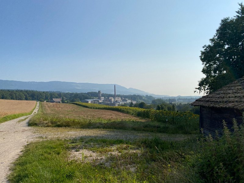 IMG_4461.JPEG - Attisholz