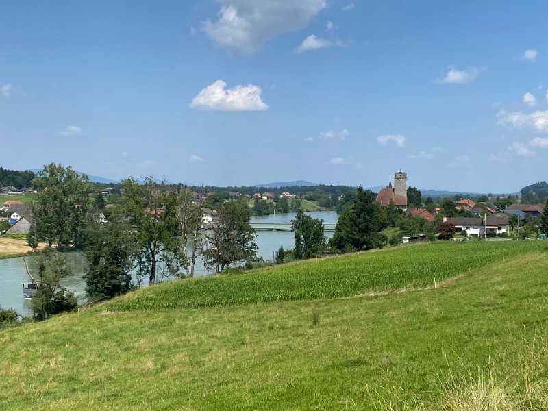 IMG_4491.JPEG - Aarwangen