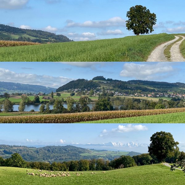 37B682CC-D655-4879-98F5-F4A3EF4EC22A.jpg - Gerzensee