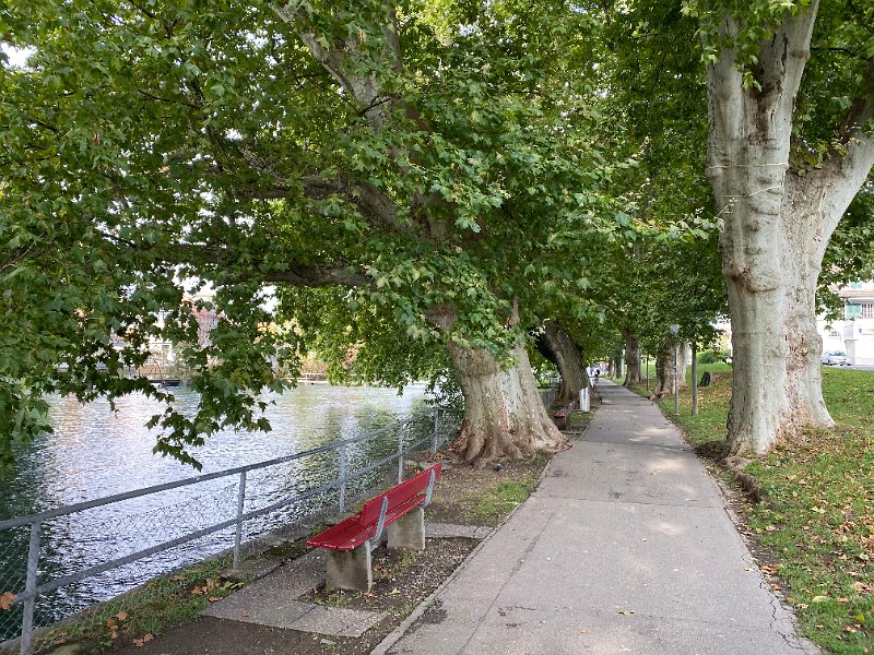 IMG_2692.jpg - Uferpromenade