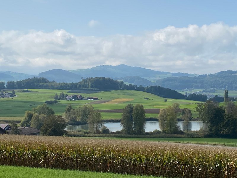 IMG_2712.jpg - Gerzensee - Blick zur Gibelegg