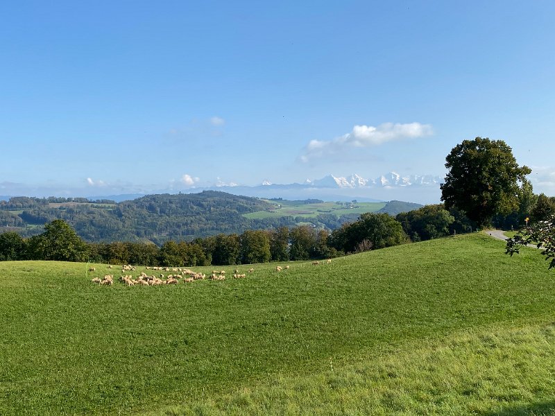 IMG_2739.jpg - Herbstpanorama