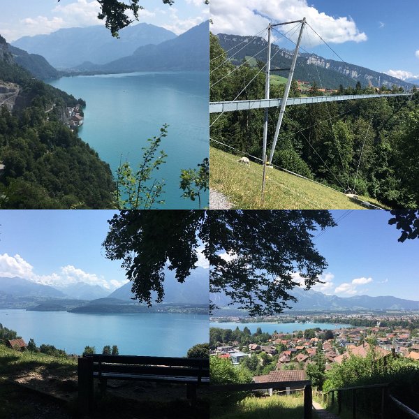 A2A78854-C561-4F85-9D78-02A92A5AE204.jpg - Neuhaus - Sigriswil - Thun (gewandert 2015; 24 km ; 7h)