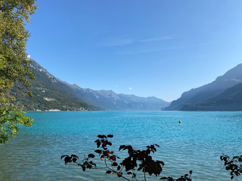 IMG_2625.jpg - Brienzersee