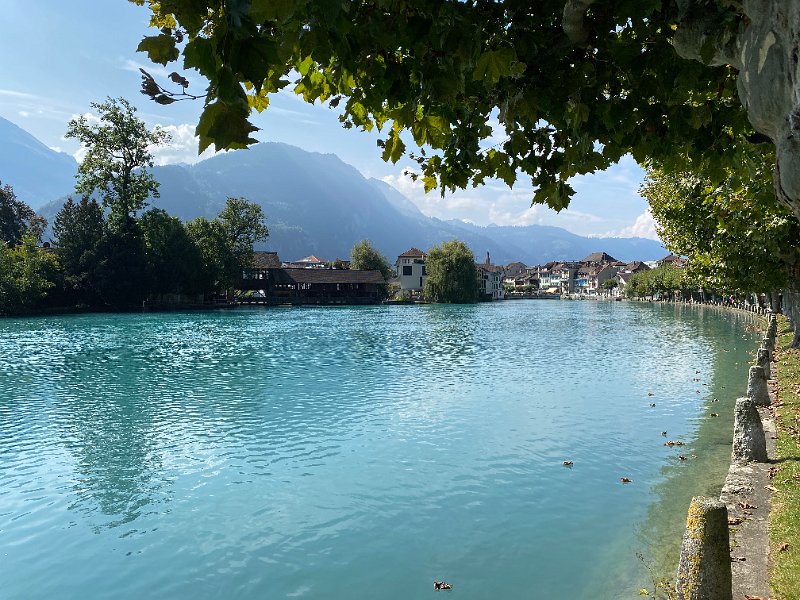 IMG_2633.jpg - Unterseen Promenade
