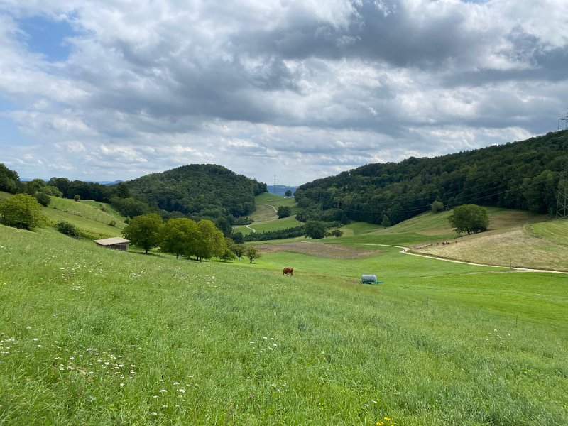 IMG_4523.JPEG - M�lital (Richtung B�ttstein)