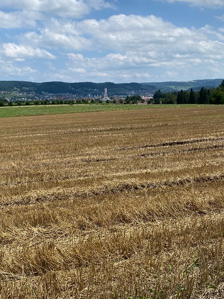 IMG_4532.JPEG - Leuggern