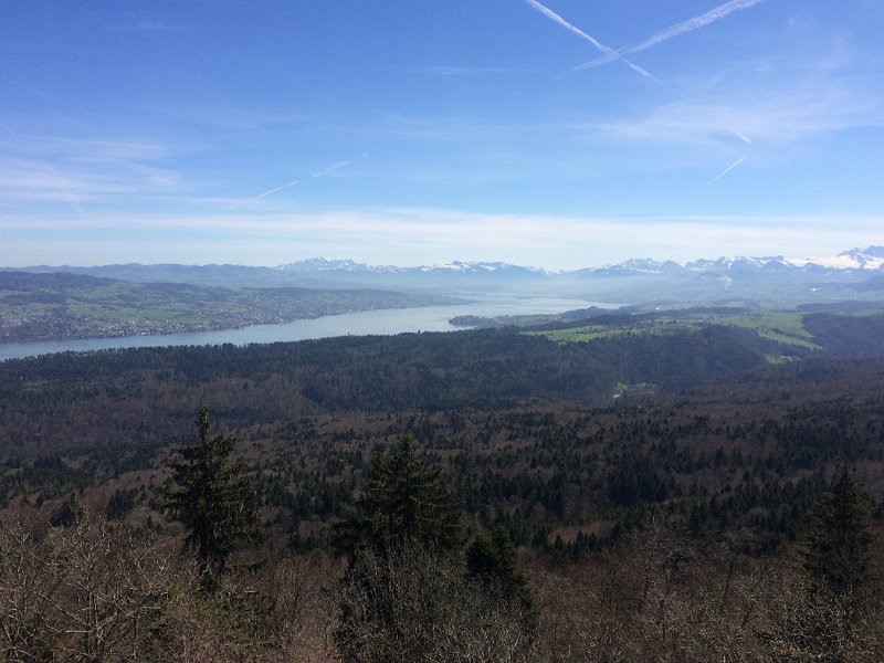 IMG_9223.jpg - Sihlwald
