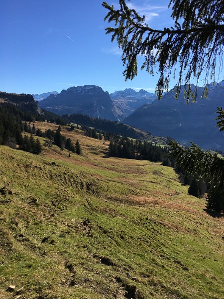 IMG_0568.jpg - Blick ins H�rital