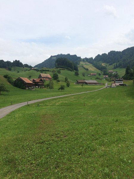 IMG_9496.jpg - Schlag