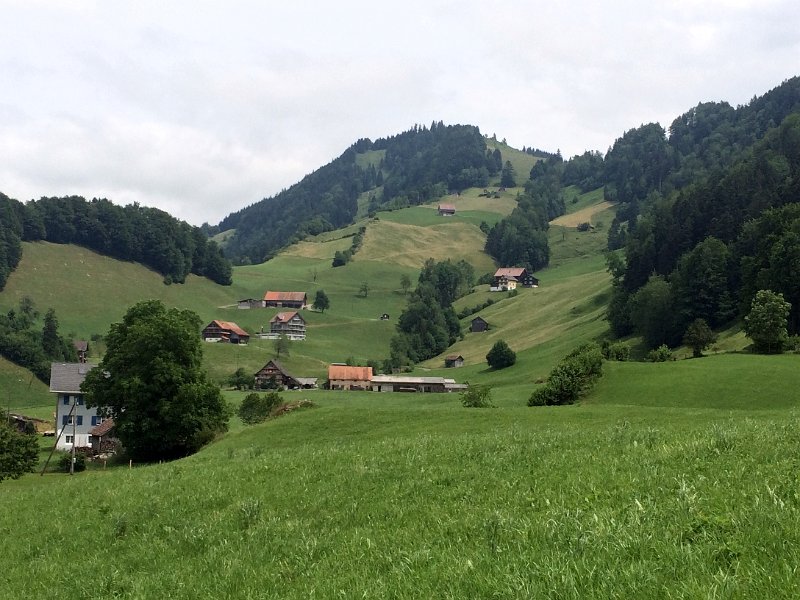 IMG_9498.jpg - Sattel - Blick zur�ck zum Morgartenberg
