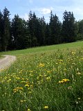 IMG_9478