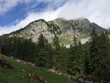 IMG_9909