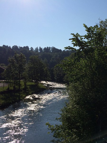 IMG_9383.jpg - Bei Sihlbrugg Dorf