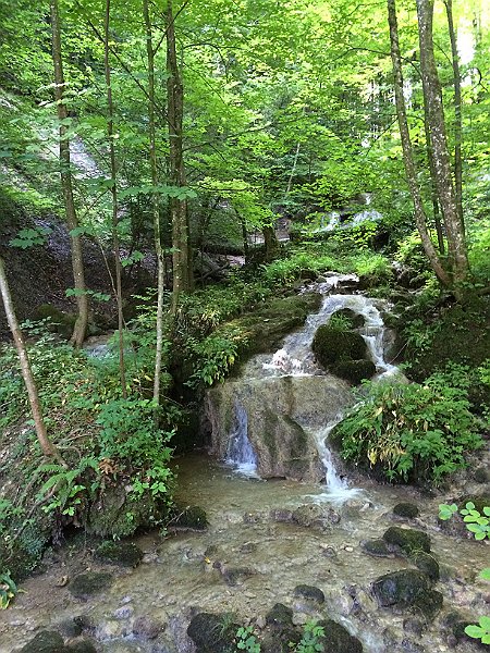 IMG_9386.jpg - Wasserf�lle beim Schifflisteg