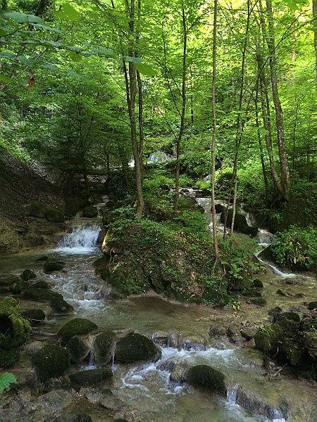 IMG_9387.jpg - Wasserf�lle beim Schifflisteg