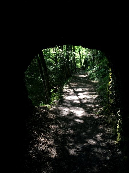IMG_9400.jpg - Tunnelweg