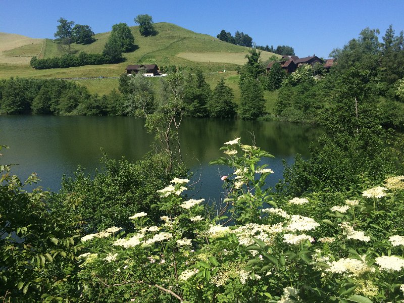 IMG_9421.jpg - Wilersee (750 m)