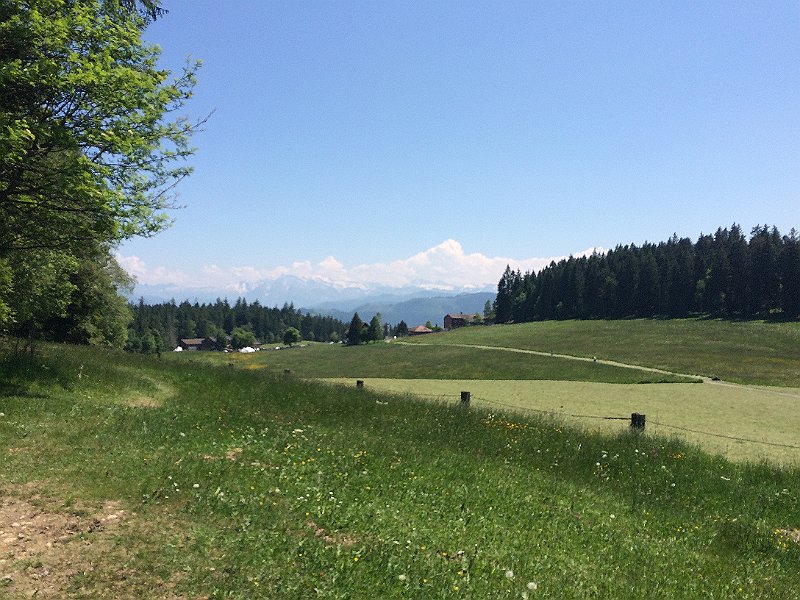 IMG_9435.jpg - Gottschalkenberg (1148 m)