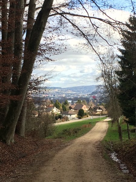 IMG_8542.jpg - Oberhalb Dietikon: Hundeh�tte