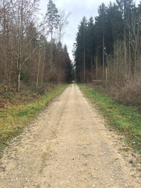 IMG_8564.jpg - Nach Reppischhof: Richtung Urdorf