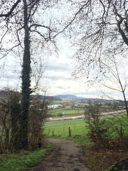 IMG_8566.jpg - Oberhalb Urdorf - Blick Richtung �etliberg